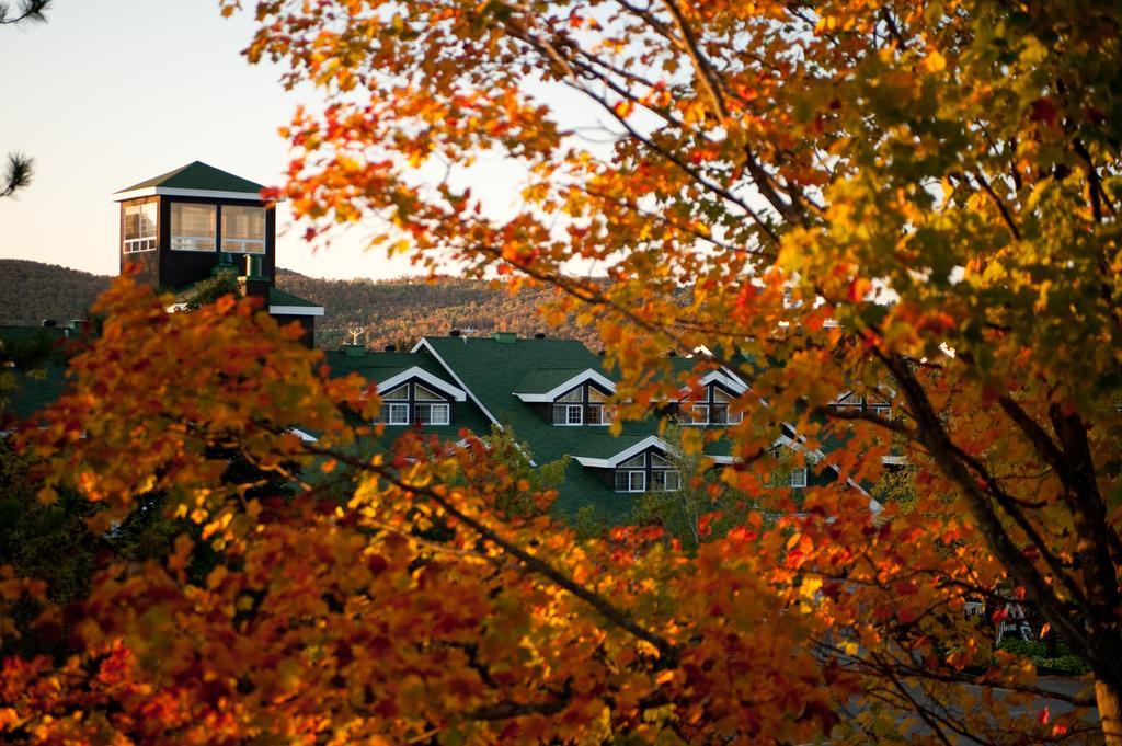 Manoir Saint-Sauveur Exterior foto